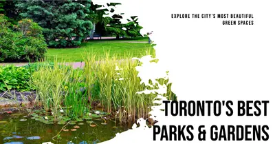 3 Best Parks and Gardens in Toronto (2026)