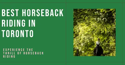 5 Best Horseback Riding in Toronto (2026)