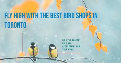 5 Best Bird Shops in Toronto (2026)