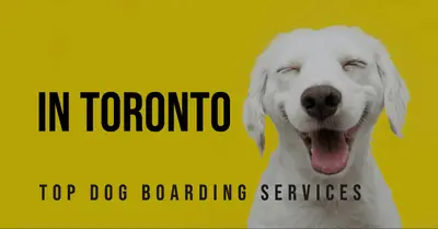 5 Best Dog Boarding Services in Toronto (2026)