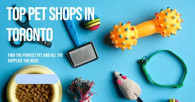 5 Best Pet Shops in Toronto (2026)