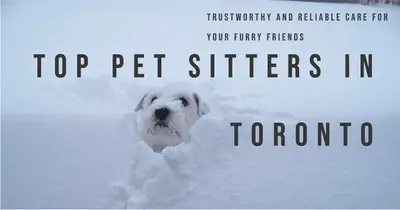 Best Pet Sitters in Toronto (2026)