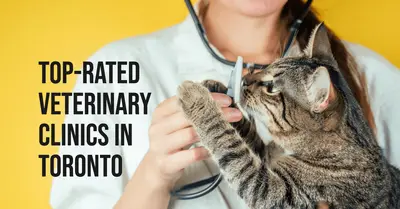 5 Best Veterinary Clinics in Toronto (2026)