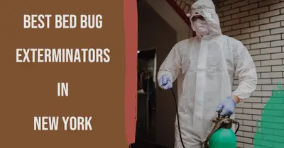 5 Best Bed Bug Exterminators in New York (2026)