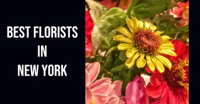 5 Best Florists in New York (2026)