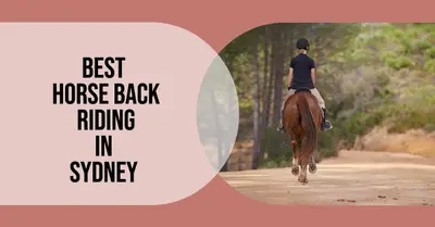 5 Best Horseback Riding in Sydney (2026)