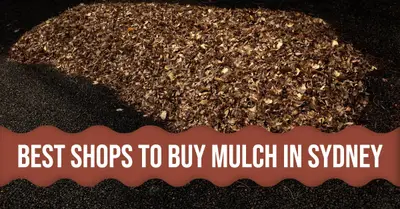5 Best Shops to Buy Mulch in Sydney (2026)