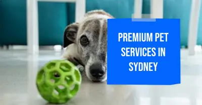 Pet Services