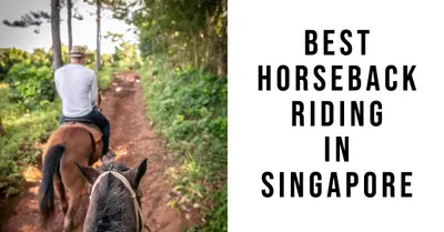 5 Best Horseback Riding Stables in Singapore (2026)