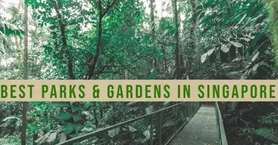 5 Best Parks and Gardens in Singapore (2026)