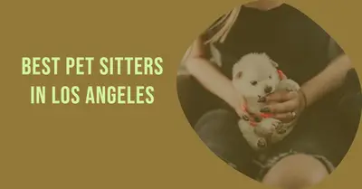5 Best Pet Sitters in Los Angeles (2026)