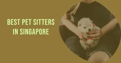 5 Best Pet Sitters in Singapore (2026)