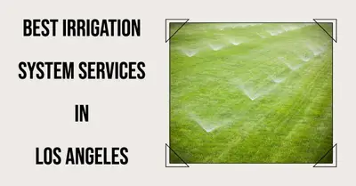 5 Best Irrigation System Services in Los Angeles (2026)