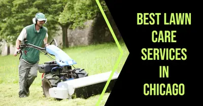 5 Best Lawn Care Services in Chicago (2026)