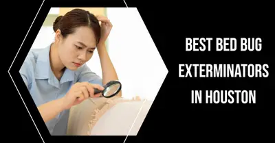 5 Best Bed Bug Exterminators in Houston (2026)