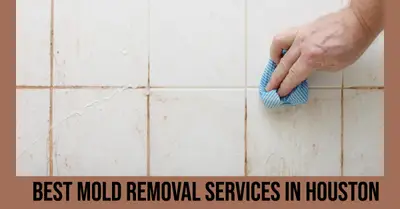 5 Best Mold Removal Services in Houston (2026)