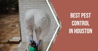 5 Best Pest Control Services in Houston (2026)