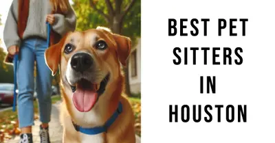 5 Best Pet Sitters in Houston (2026)
