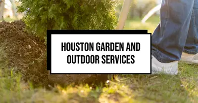 Garden And Outdoor