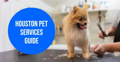 Pet Services