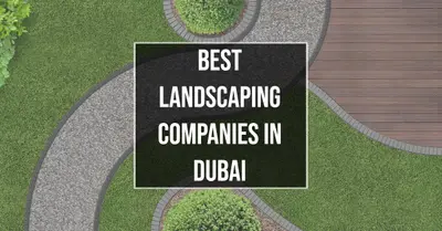 6 Best Landscaping Companies in Dubai (2026)