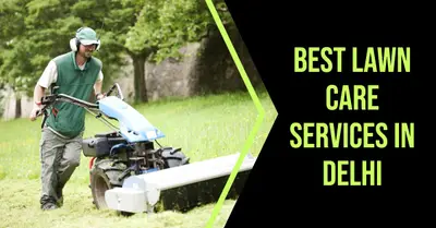 5 Best Lawn Care Services in Delhi (2026)