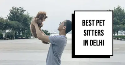 5 Best Pet Sitters in Delhi (2026)