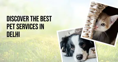 Pet Services
