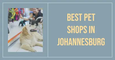 5 Best Pet Shops in Johannesburg (2026)
