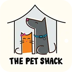 5 Best Cat Grooming Services in Abu Dhabi (2026)