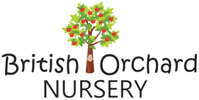 5 Best Nursery Centers in Abu Dhabi (2026)