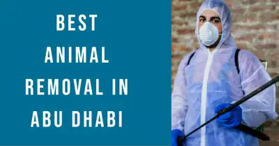 5 Best Animal Removal Services in Abu Dhabi (2026)