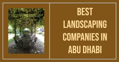 5 Best Landscaping Companies in Abu Dhabi (2026)