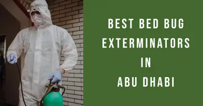 5 Best Bed Bug Exterminators in Abu Dhabi (2026)