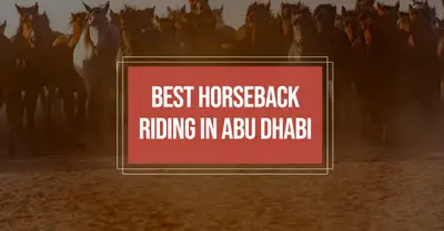 5 Best Horseback Riding in Abu Dhabi (2026)