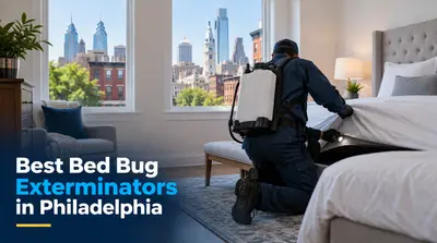 3 Best Bed Bug Exterminators in Philadelphia (2026)