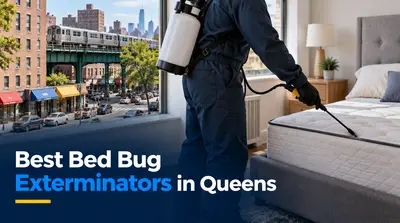 5 Best Bed Bug Exterminators in Queens (2026)