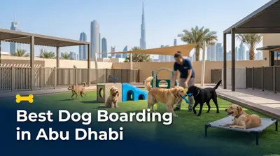 5 Best Dog Boarding Services in Abu Dhabi (2026)