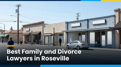 5 Best Family and Divorce Lawyers in Roseville (2026)
