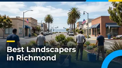 5 Best Landscapers in Richmond (2026)
