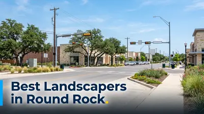 5 Best Landscapers in Round Rock (2026)