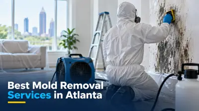 5 Best Mold Removal Services in Atlanta (2026)