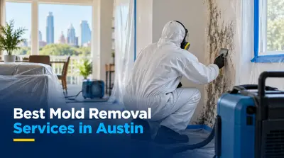 3 Best Mold Removal Services in Austin (2026)
