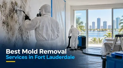 3 Best Mold Removal Services in Fort Lauderdale (2026)