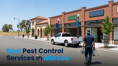 5 Best Pest Control Services in Merced (2026)