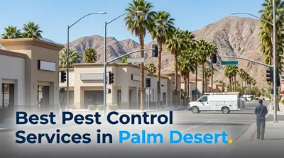 5 Best Pest Control Services in Palm Desert (2026)