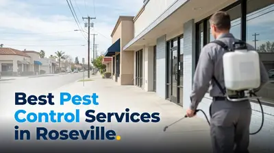 5 Best Pest Control Services in Roseville (2026)
