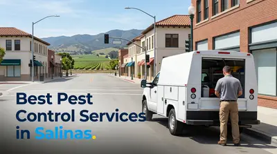 5 Best Pest Control Services in Salinas (2026)