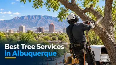 5 Best Tree Services in Albuquerque (2026)