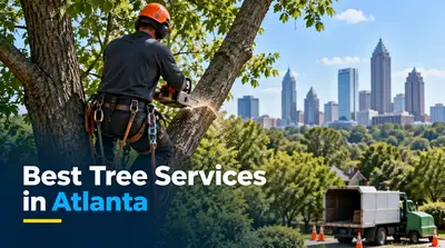 5 Best Tree Services in Atlanta (2026)